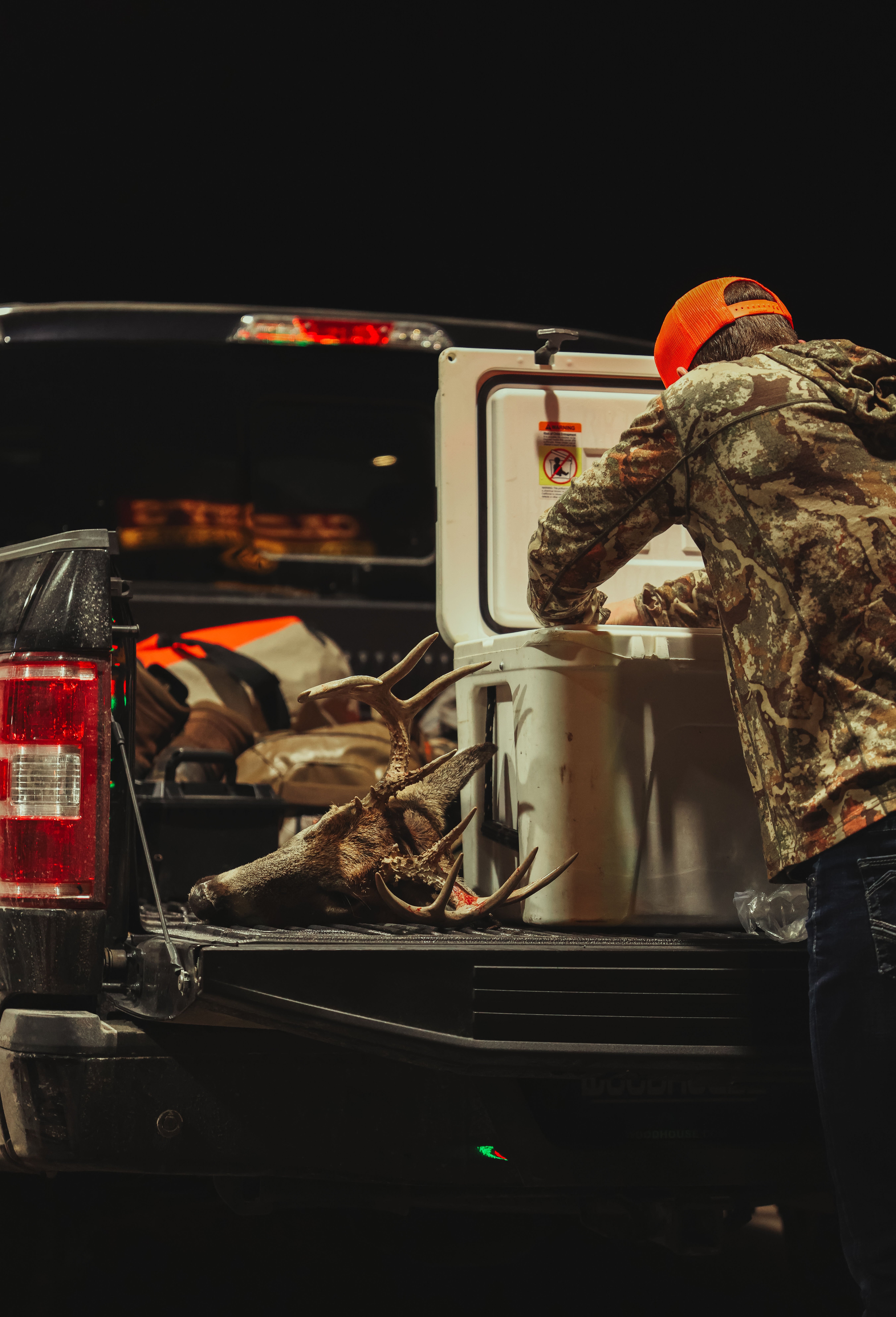 Man in back of truck with deer and cooler